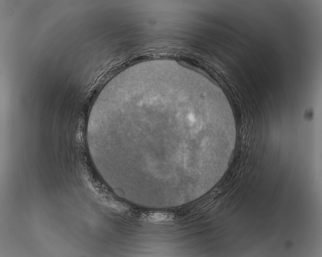 X0000115090546200912081237