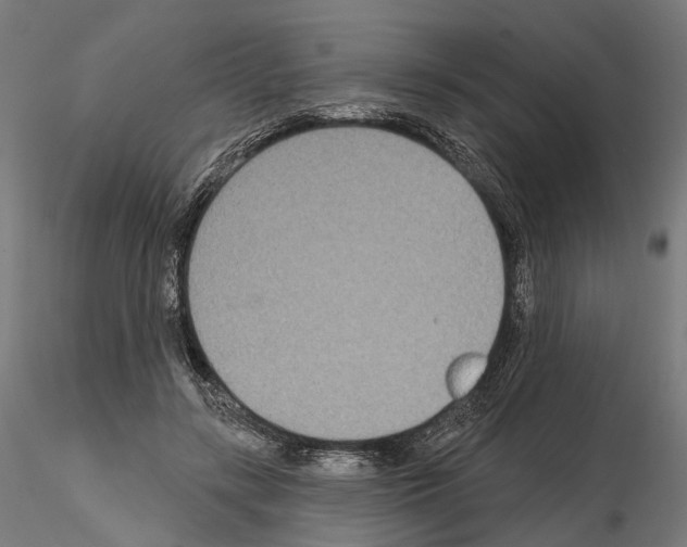 X0000115090547200912081237