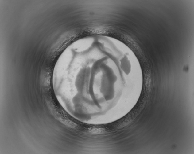 X0000115090549200912081237