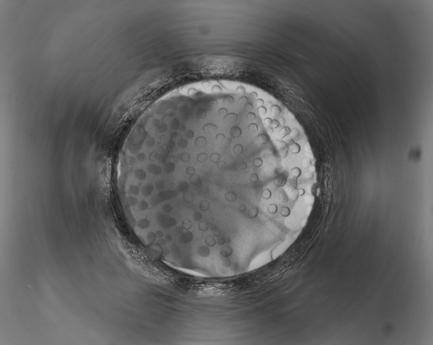 X0000115090550200912081237