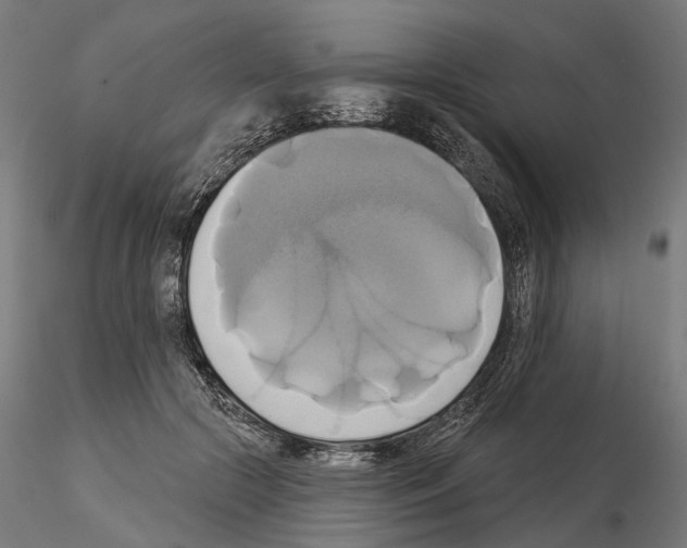 X0000115090553200912081237