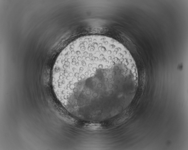 X0000115090554200912081237