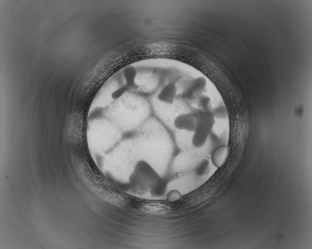 X0000115090557200912081237