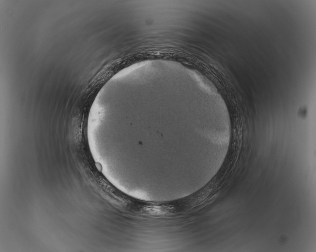 X0000115090558200912081237