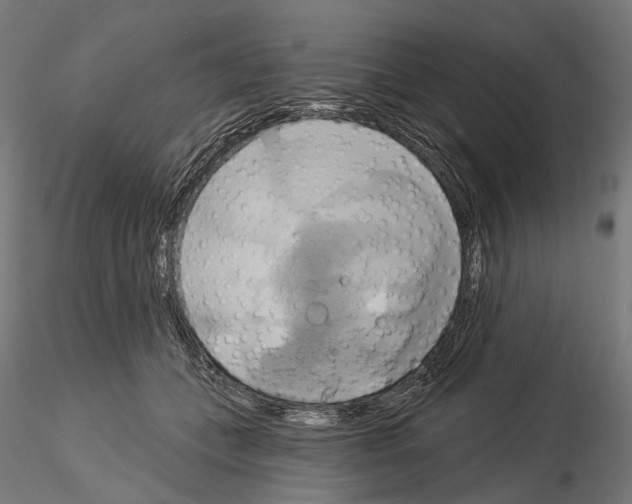 X0000115090559200912081237