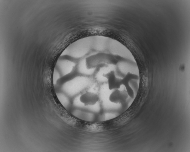 X0000115090561200912081237