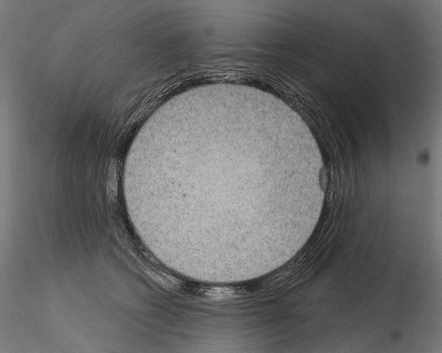X0000115090562200912081237