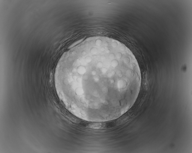 X0000115090563200912081237