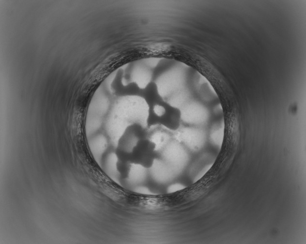 X0000115090565200912081238