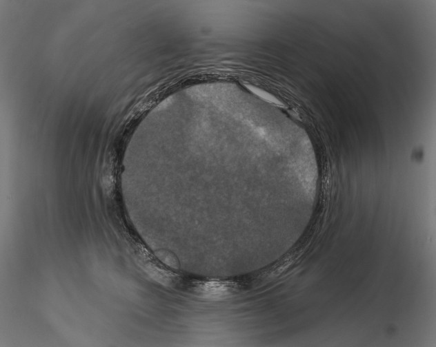 X0000115090566200912081238