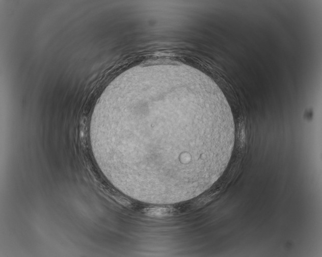 X0000115090567200912081238