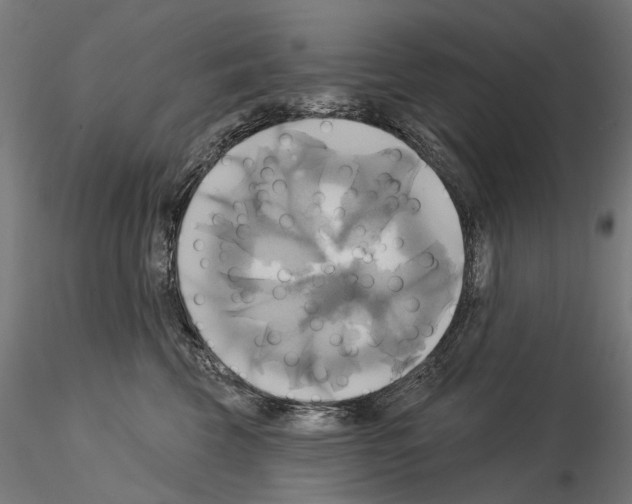 X0000115090569200912081238