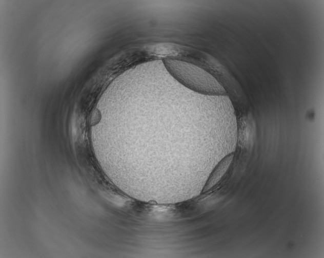 X0000115090573200912081238
