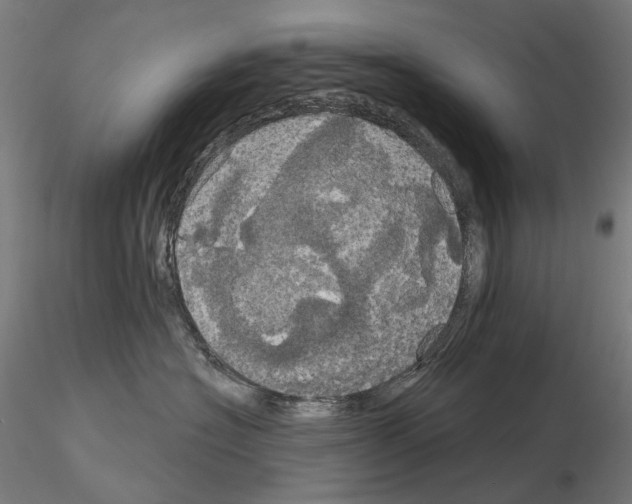 X0000115090574200912081238