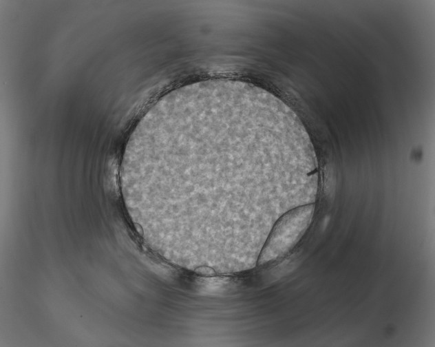 X0000115090575200912081238