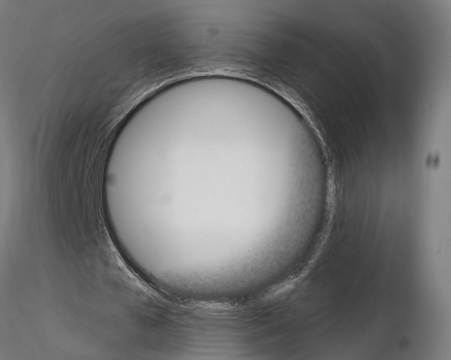 X0000115090577200912081237