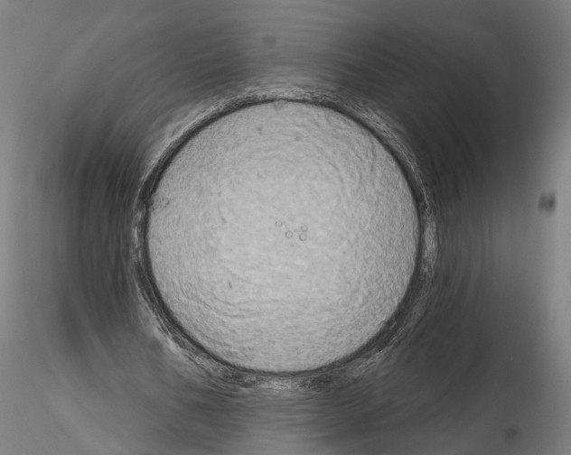 X0000115090578200912081237