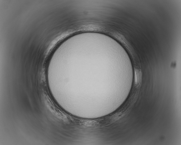 X0000115090579200912081237