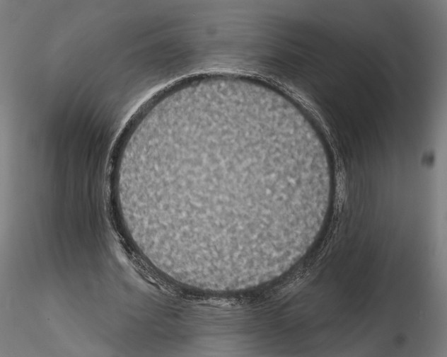 X0000115090580200912081237