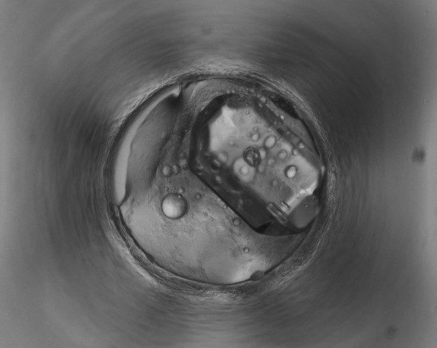 X0000115090581200912081237