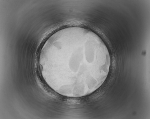 X0000115090582200912081237