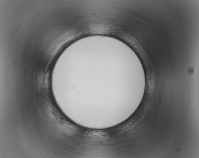 X0000115090583200912081237