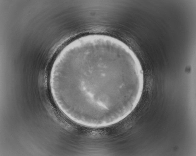 X0000115090584200912081237