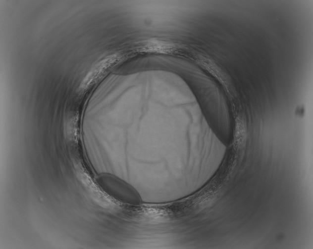 X0000115090585200912081237