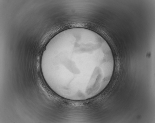 X0000115090586200912081237