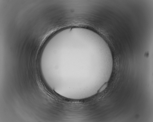 X0000115090587200912081237