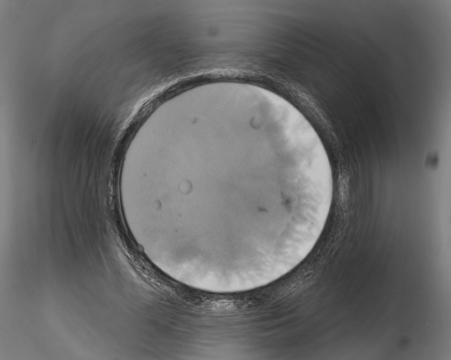 X0000115090588200912081237