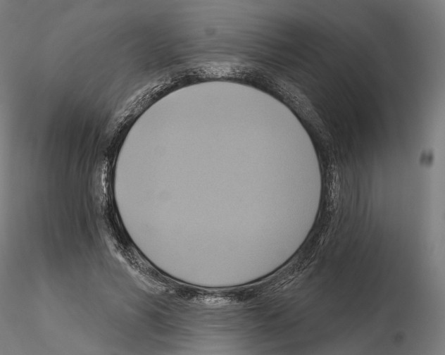 X0000115090590200912081237