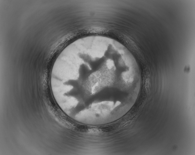 X0000115090591200912081237