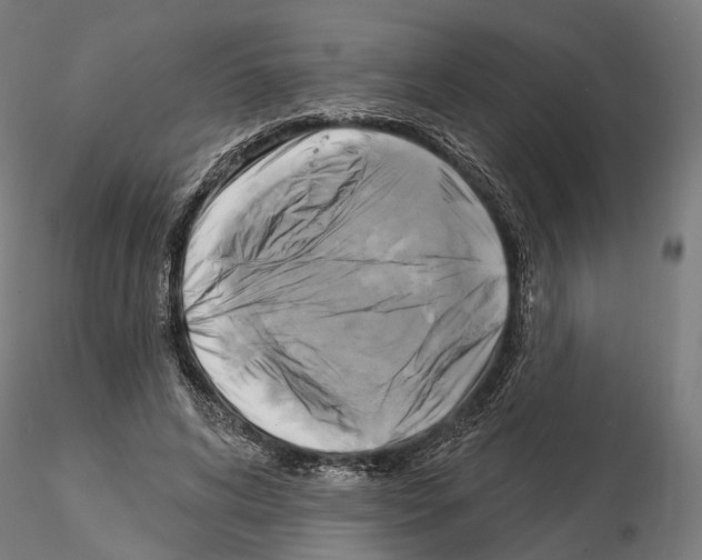 X0000115090592200912081237