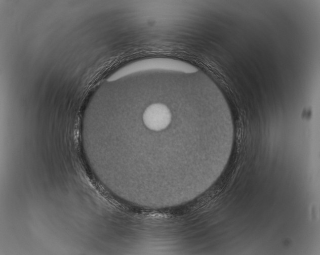 X0000115090593200912081237