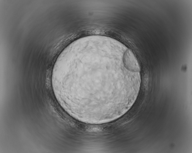 X0000115090594200912081237