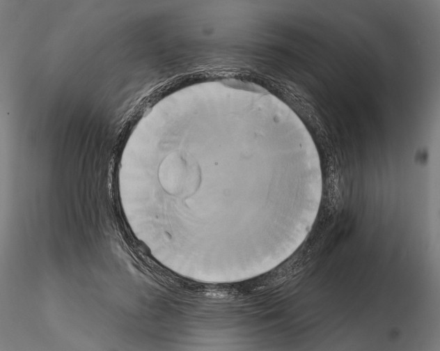 X0000115090596200912081237