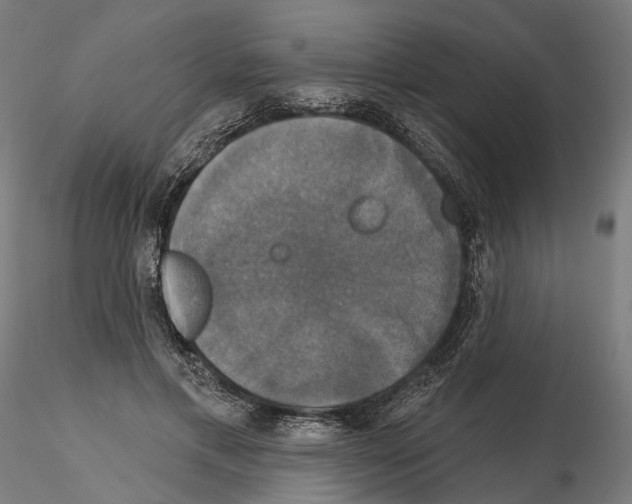 X0000115090597200912081237