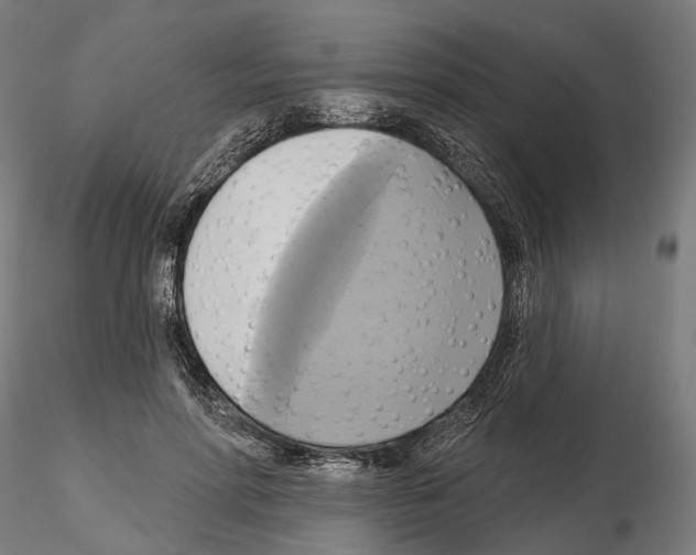 X0000115090598200912081237