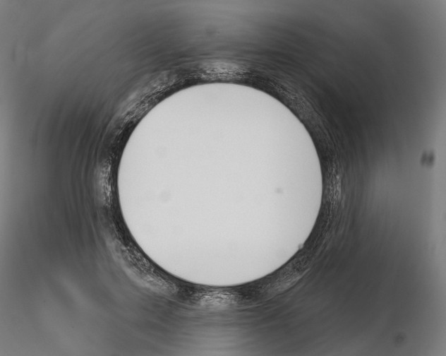 X0000115090599200912081237