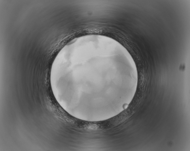 X0000115090600200912081237
