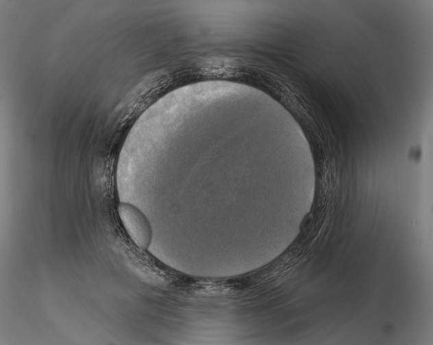 X0000115090601200912081237
