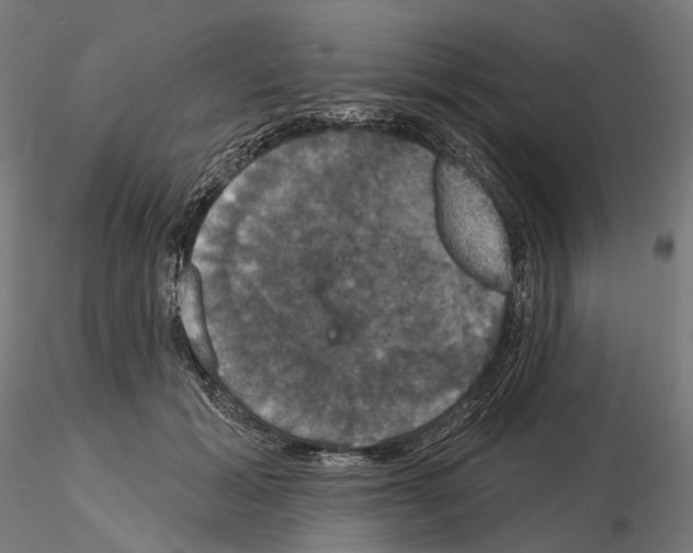 X0000115090605200912081236