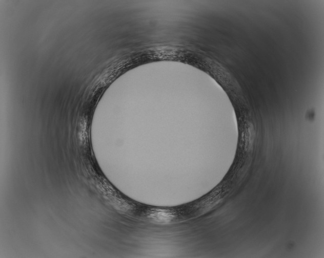 X0000115090610200912081236