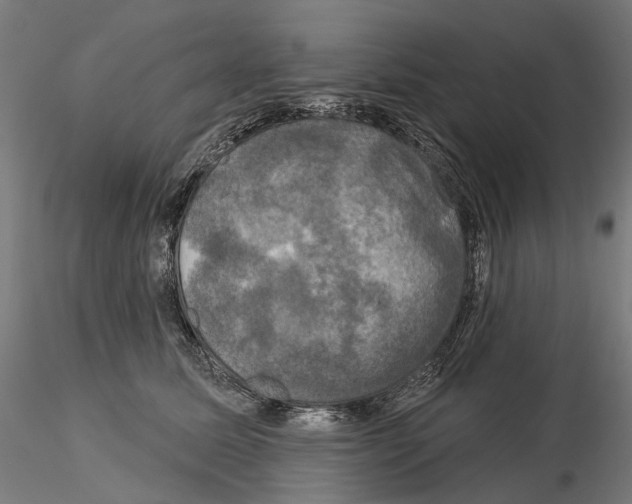 X0000115090611200912081236