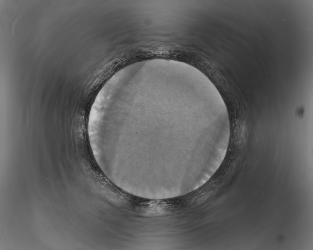 X0000115090612200912081236