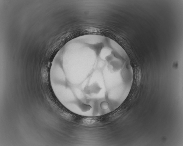 X0000115090614200912081236