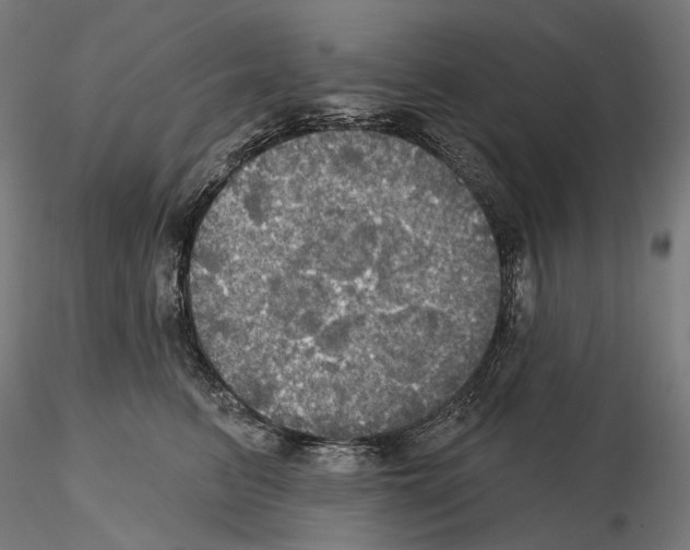 X0000115090615200912081236