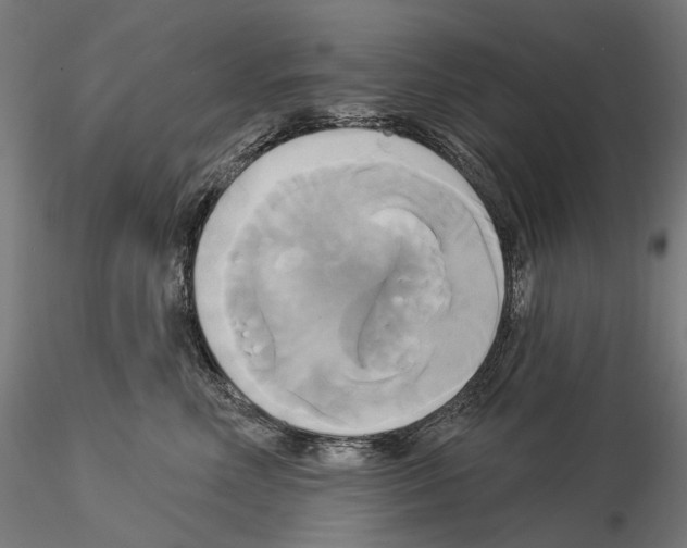 X0000115090618200912081236