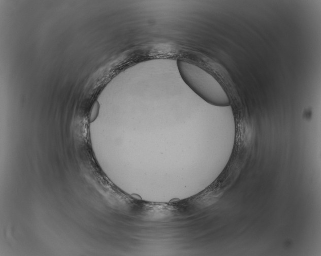 X0000115090621200912081236